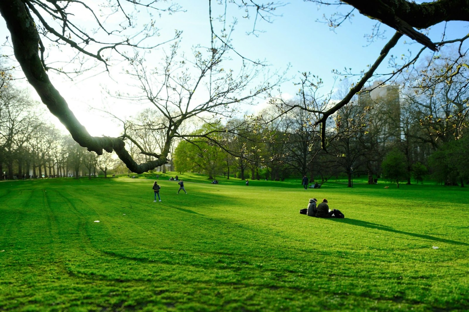 Um grande parque verde com pessoas sentadas na grama e brincando. Galhos de árvores nuas se estendem sobre a cena sob um céu limpo.
