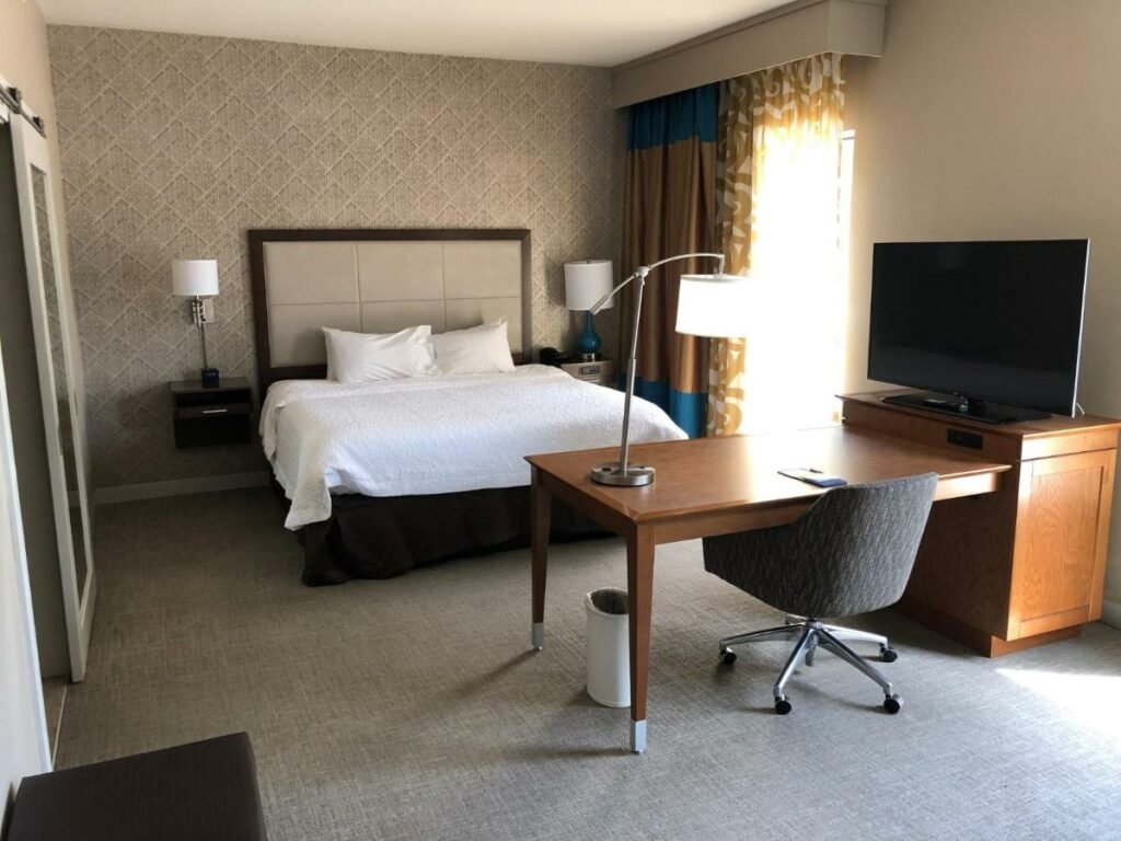Quarto do Hampton Inn & Suites by Hilton Tampa Busch Gardens Area com uma janela com cortinas, cama de casal, uma mesa de escritório com luminária e televisão, e uma cadeira giratória, para representar hotéis perto do Busch Gardens