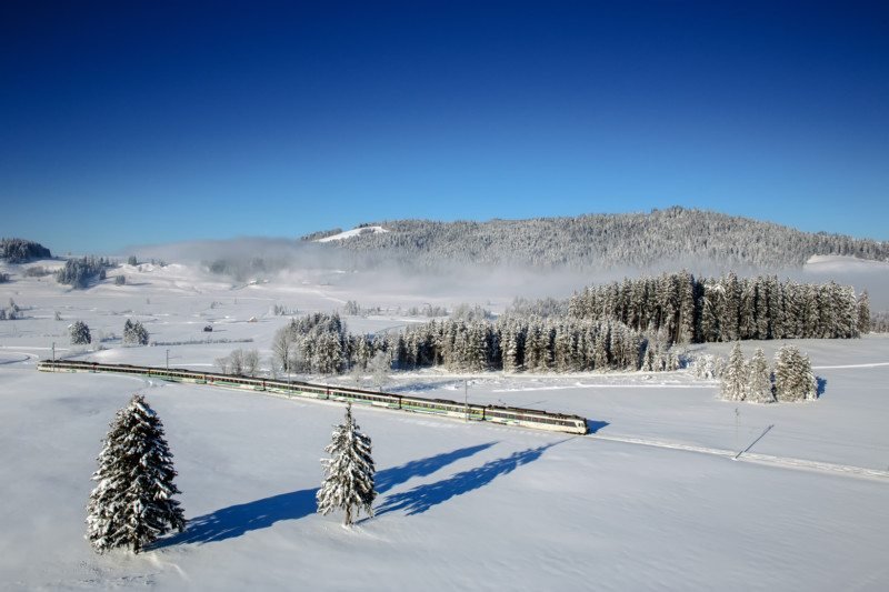 Imagem do trem do Pre Alpine durante o dia coberto de neve e no meio o trem passando e ao fundo várias árvores cobertas de neve. 
